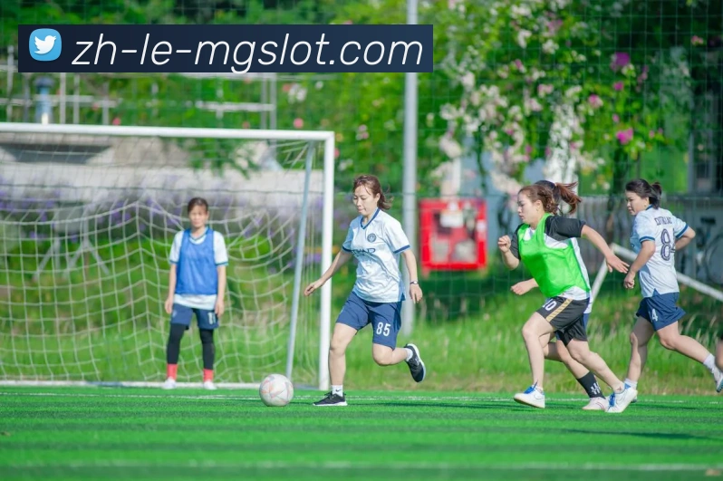 MG电子官网平台生态图