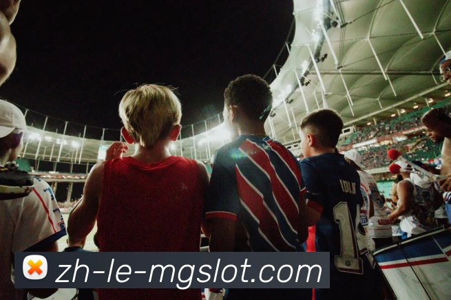 MG电子官网APP 封面图