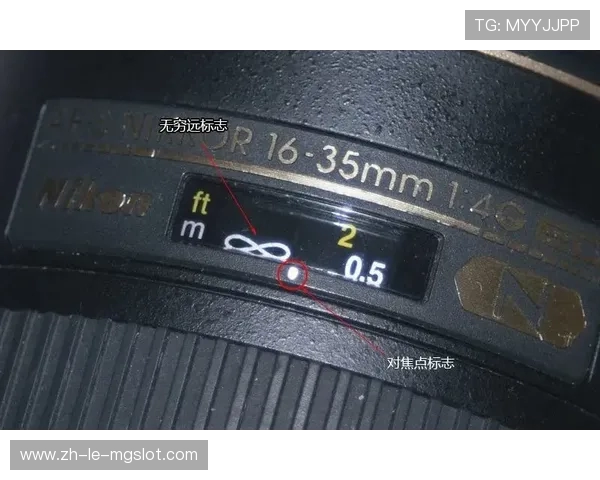 哪些游戏能帮助玩家一年赚到五十万真实案例与经验分享